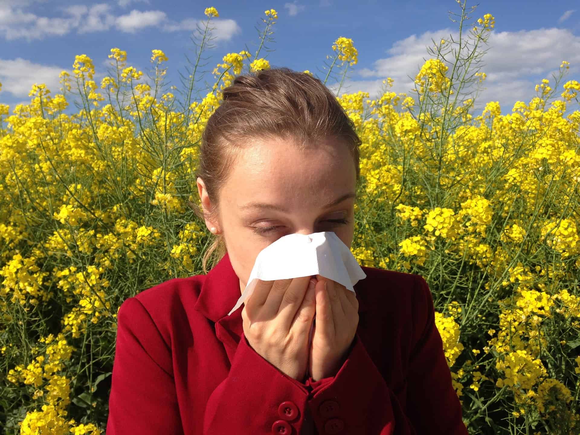 air purifiers for allergies
