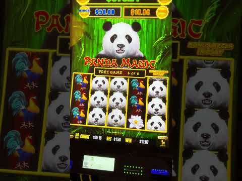 Experience the Thrill Play at Spinpanda Casino Experience the Thrill Play at Spinpanda Casino